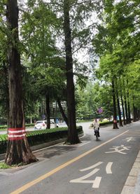 Rear view of people walking on road in city