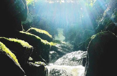 Scenic view of waterfall