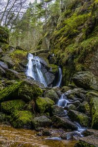 Scenic view of river flowing through rocks