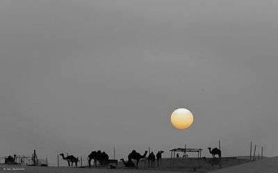 View of people at sunset