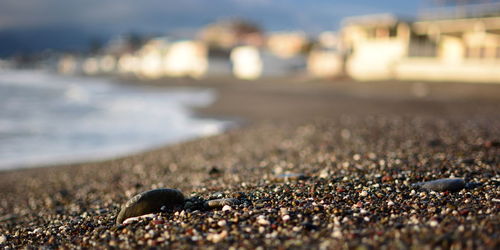 Close-up of pebbles on beach