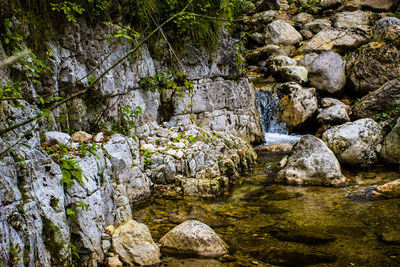 Stream flowing through rocks in forest