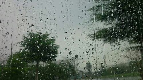 Close-up of water drops on glass