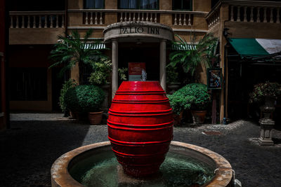 Potted plants in front of building