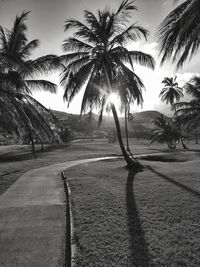 Scenic view of palm trees against sky