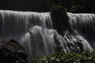 Low angle view of waterfall in forest