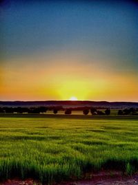 Scenic view of field against sky at sunset