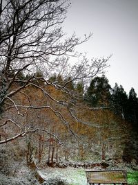 Bare trees on field during winter against sky