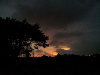 Silhouette trees at sunset