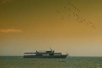 Birds flying over sea against sky during sunset