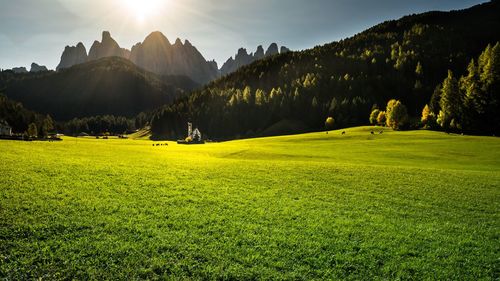 Scenic view of field and mountains against sky
