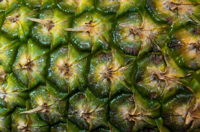 Full frame shot of fruits