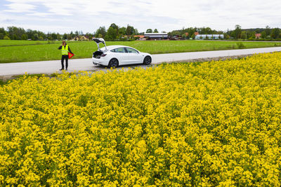 Man on side of road with broken down car