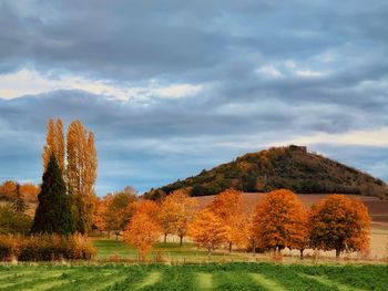 Trees on field against sky during autumn