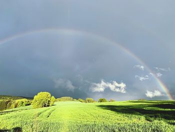 Scenic view of field against rainbow in sky