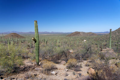 Scenic view of arid landscape against clear sky