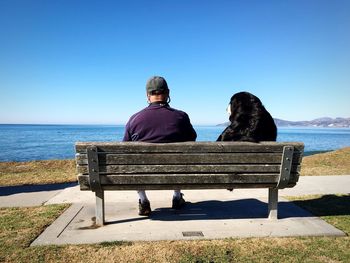 Rear view of people sitting on bench