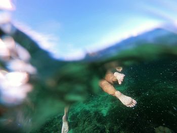 Low section of woman swimming in sea