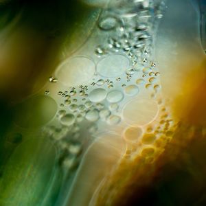 Close-up of bubbles in drink