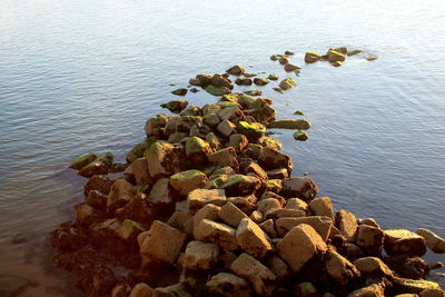 High angle view of pebbles on lake