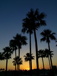 Silhouette palm trees at sunset