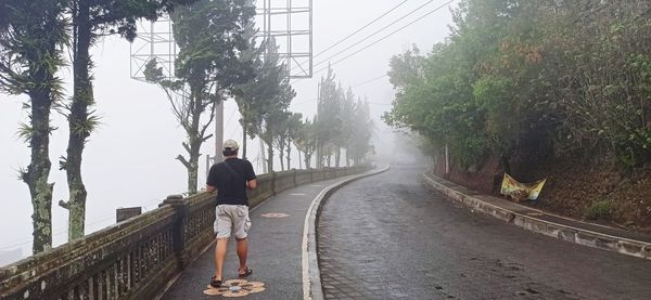 Rear view of man on road amidst trees