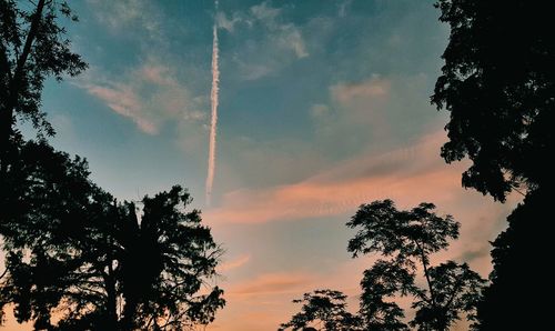 Low angle view of silhouette trees against sky