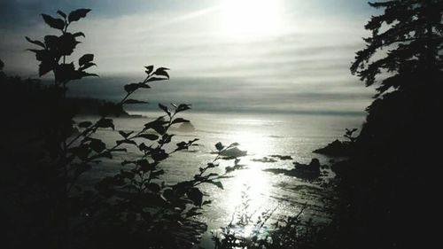 Scenic view of sunset over sea