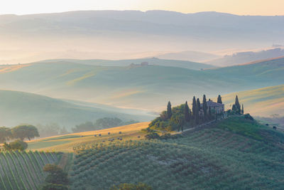 Val d'orcia, tuscany, italy. a lonely farmhouse with cypress and olive trees, rolling hills.