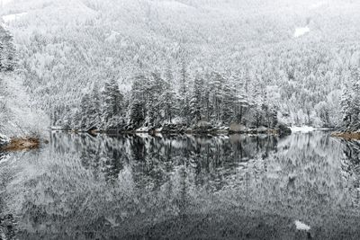 Scenic view of lake in forest during winter