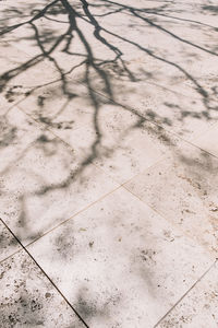 Shadow on sand