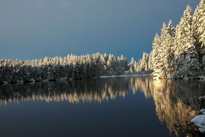 Reflection of trees in lake against clear sky