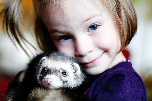 CLOSE-UP PORTRAIT OF SMILING GIRL WITH CAT