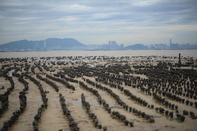 Panoramic view of desert against sky