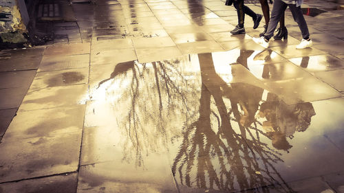 Low section of man in water