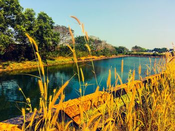 Scenic view of lake against sky