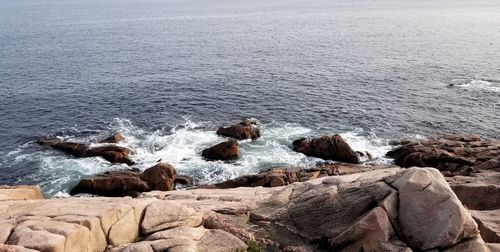 High angle view of rocks on beach