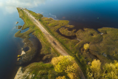 High angle view of tree by road against sky