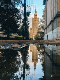 reflection