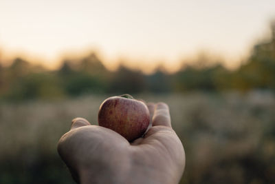 Close-up of hand holding apple against sky