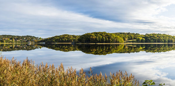 Forest reflecting in lake