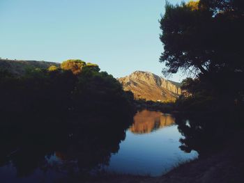 Scenic view of lake by trees against clear sky