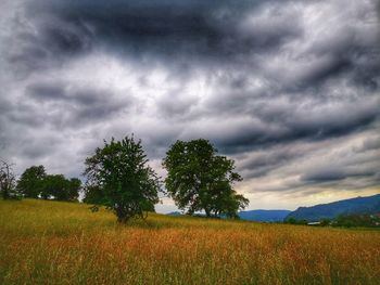 Trees on field against cloudy sky