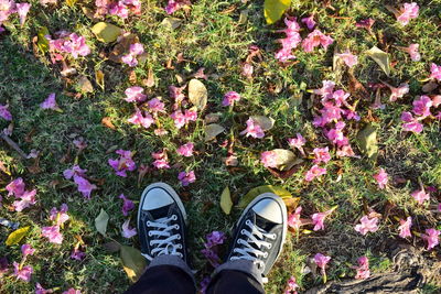 Low section of man standing on grass