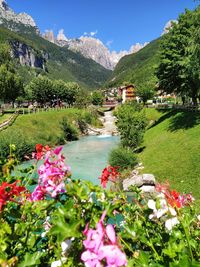 Scenic view of lake amidst plants and buildings against sky