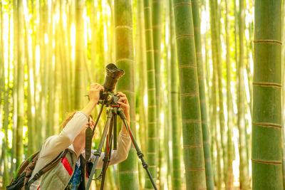 View of woman holding bamboo plant in the forest