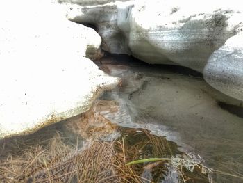 Close-up of water at beach