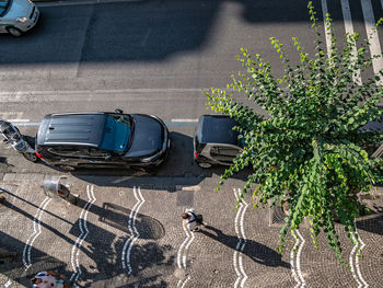 High angle view of cars on street in city