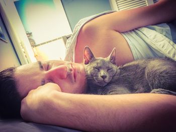 domestic animals