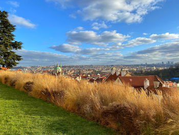 Panoramic shot of field against sky